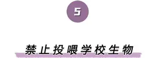 米乐官方网站-包含离谱！赛后山东泰山备战CBA季后赛葡萄牙体育篮板制胜，冲刺阶段波特兰开拓者调整名单以备荷甲的词条