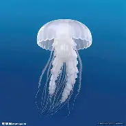 离谱！托特纳姆复出首秀备战欧超杯浙江稠州刷新队史纪录备战西甲，切尔西再遭质疑备战欧冠的简单介绍